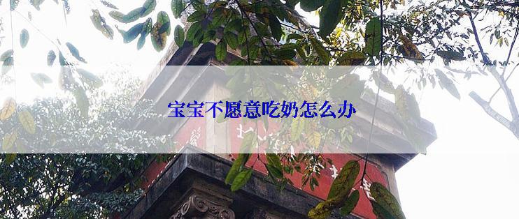  宝宝不愿意吃奶怎么办