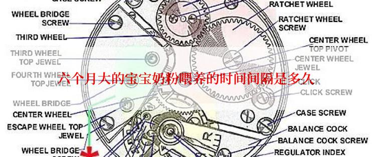 六个月大的宝宝奶粉喂养的时间间隔是多久