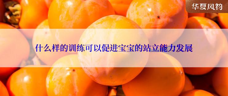 什么样的训练可以促进宝宝的站立能力发展