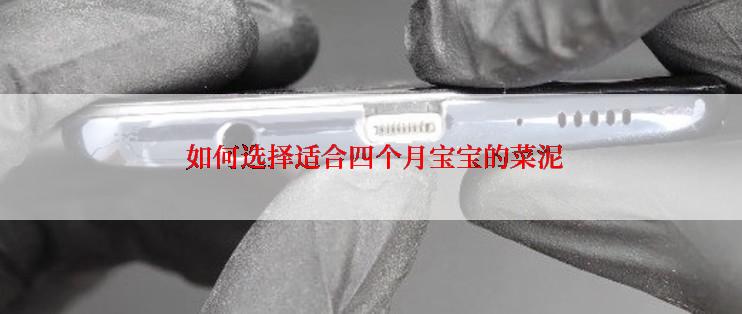  如何选择适合四个月宝宝的菜泥