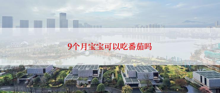 9个月宝宝可以吃番茄吗