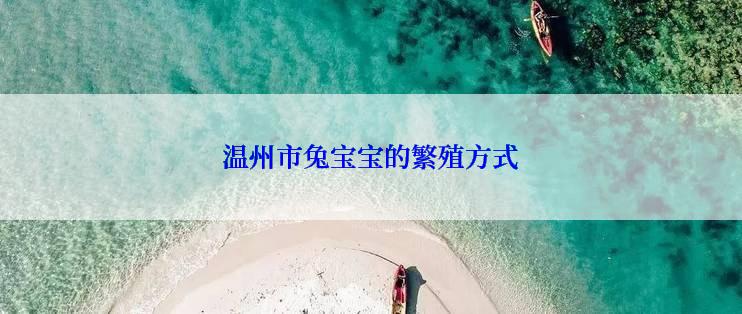 温州市兔宝宝的繁殖方式