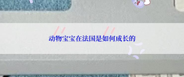 动物宝宝在法国是如何成长的