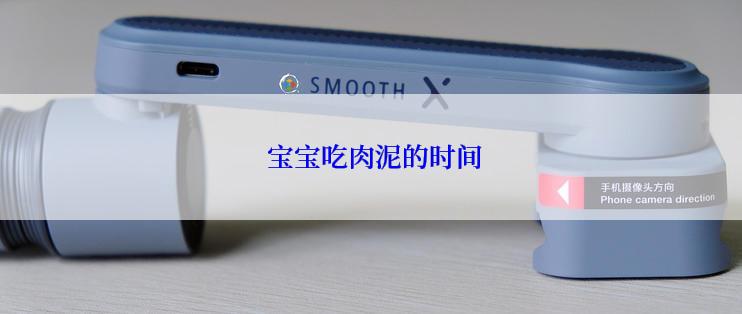  宝宝吃肉泥的时间