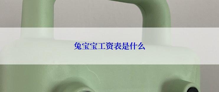 兔宝宝工资表是什么