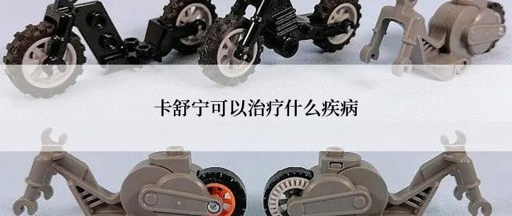 卡舒宁可以治疗什么疾病
