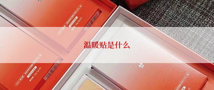 温暖贴是什么
