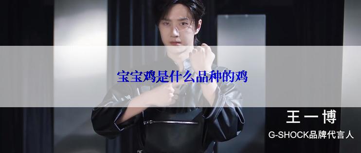  宝宝鸡是什么品种的鸡