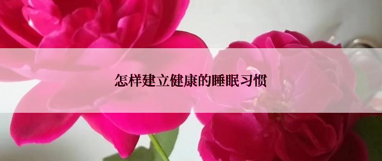 怎样建立健康的睡眠习惯