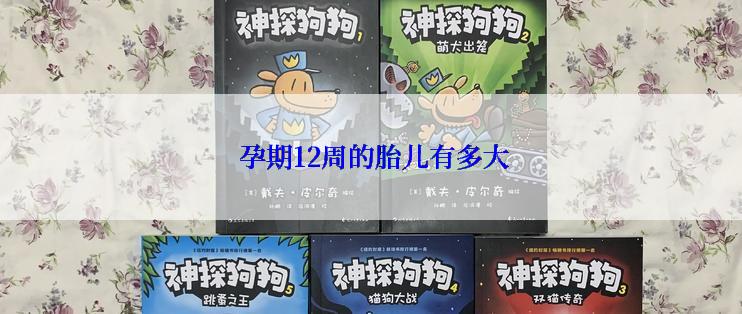  孕期12周的胎儿有多大