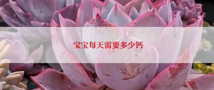 宝宝每天需要多少钙