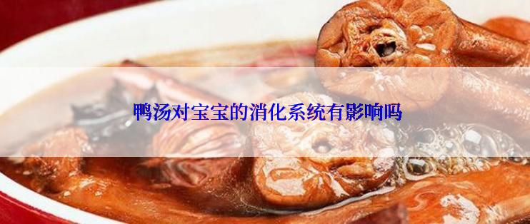  鸭汤对宝宝的消化系统有影响吗