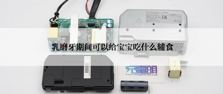  乳磨牙期间可以给宝宝吃什么辅食