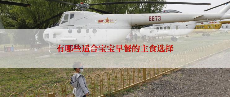 有哪些适合宝宝早餐的主食选择