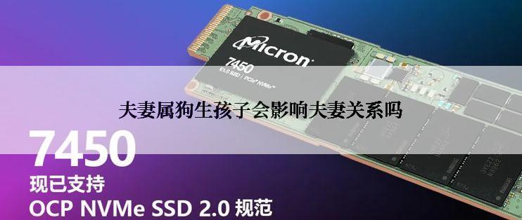 夫妻属狗生孩子会影响夫妻关系吗