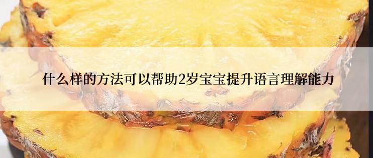 什么样的方法可以帮助2岁宝宝提升语言理解能力