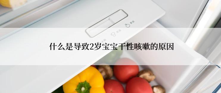  什么是导致2岁宝宝干性咳嗽的原因