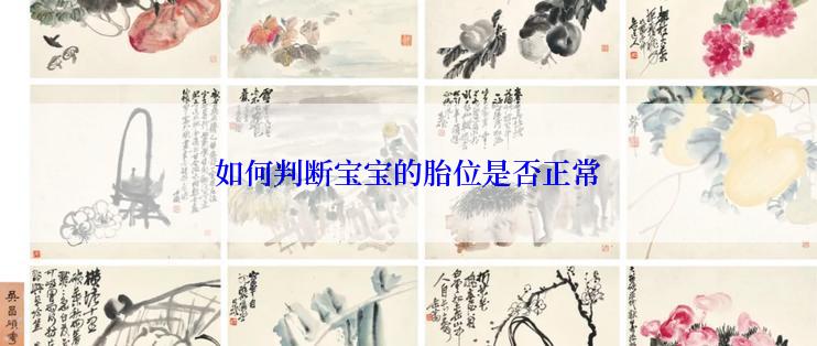 如何判断宝宝的胎位是否正常