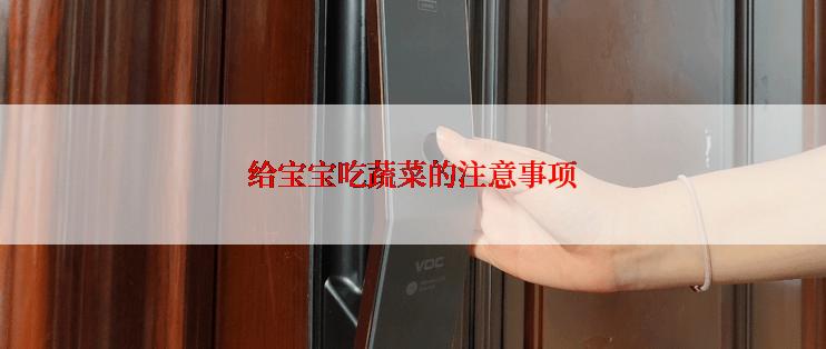 给宝宝吃蔬菜的注意事项