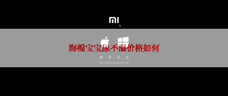 海棉宝宝尿不湿价格如何