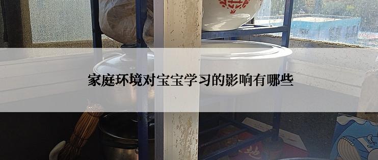  家庭环境对宝宝学习的影响有哪些