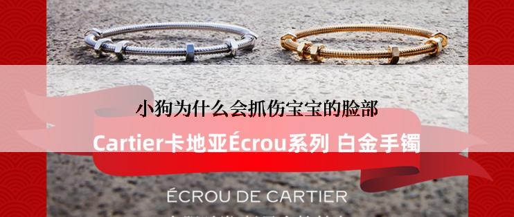 小狗为什么会抓伤宝宝的脸部