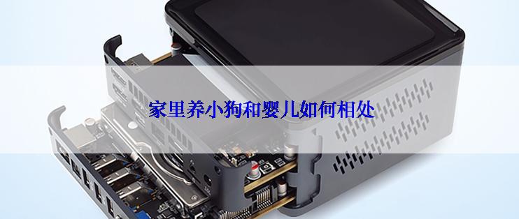  家里养小狗和婴儿如何相处