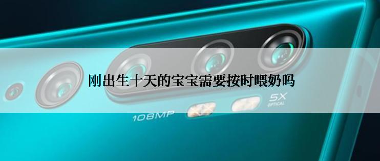  刚出生十天的宝宝需要按时喂奶吗