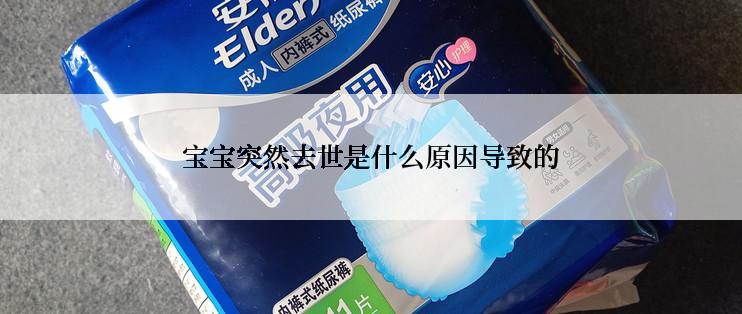 宝宝突然去世是什么原因导致的