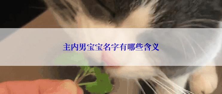 主内男宝宝名字有哪些含义