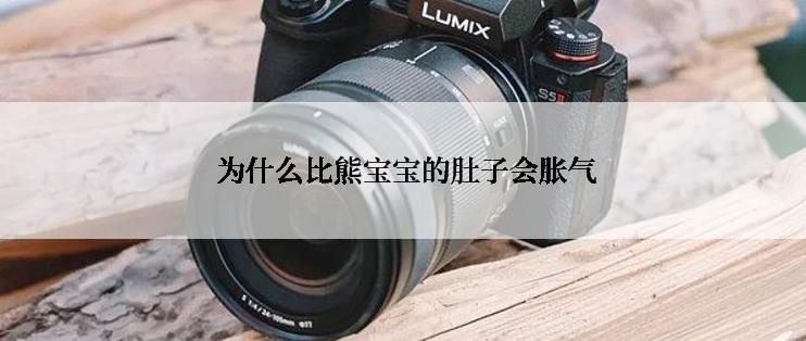  为什么比熊宝宝的肚子会胀气