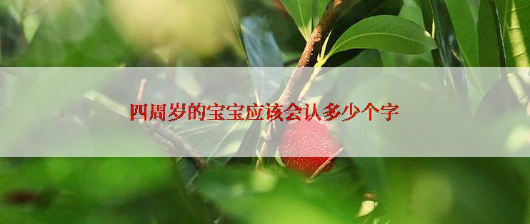 四周岁的宝宝应该会认多少个字