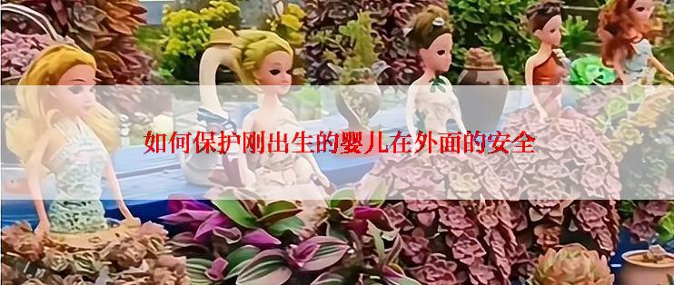 如何保护刚出生的婴儿在外面的安全