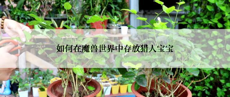 如何在魔兽世界中存放猎人宝宝