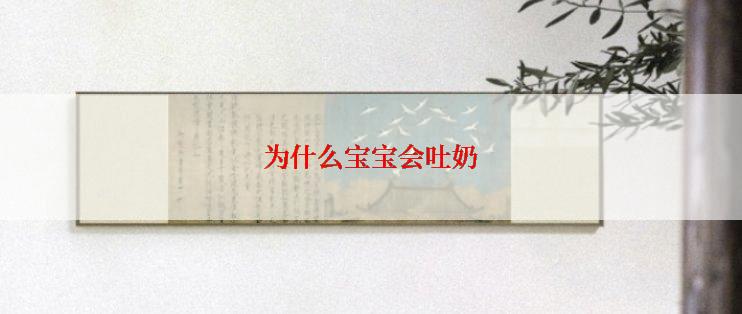 为什么宝宝会吐奶