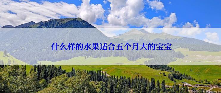  什么样的水果适合五个月大的宝宝