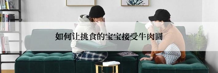 如何让挑食的宝宝接受牛肉圆