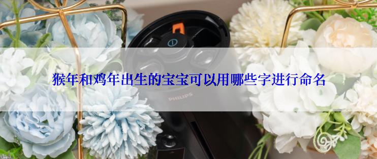 猴年和鸡年出生的宝宝可以用哪些字进行命名