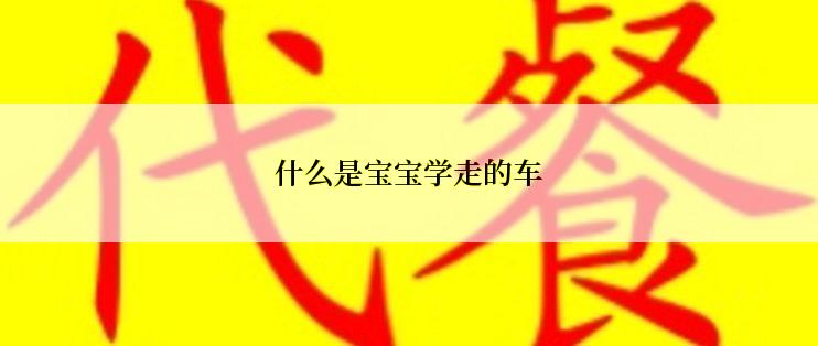 什么是宝宝学走的车
