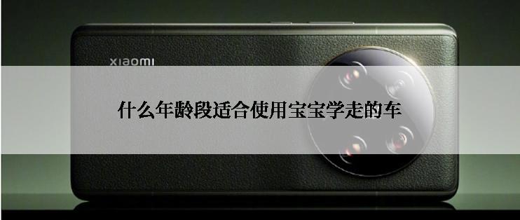 什么年龄段适合使用宝宝学走的车