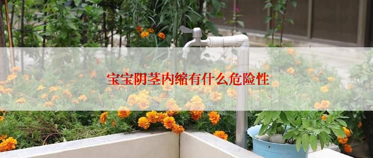  宝宝阴茎内缩有什么危险性