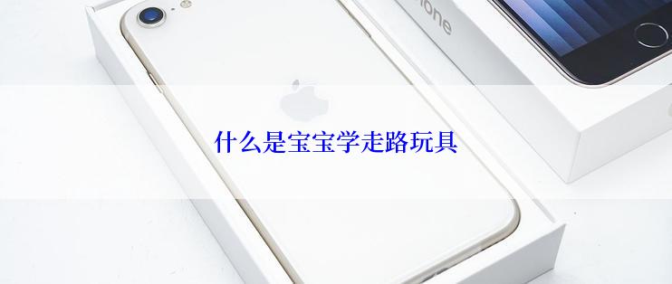 什么是宝宝学走路玩具