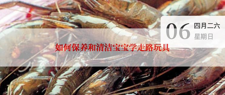 如何保养和清洁宝宝学走路玩具