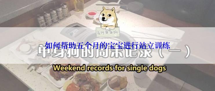 如何帮助五个月的宝宝进行站立训练
