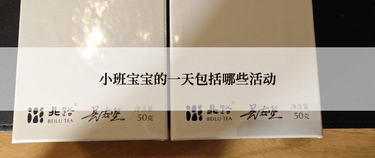 小班宝宝的一天包括哪些活动