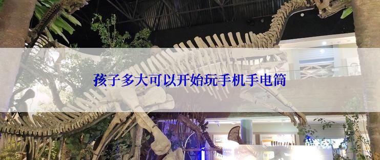 孩子多大可以开始玩手机手电筒