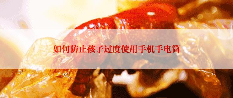 如何防止孩子过度使用手机手电筒