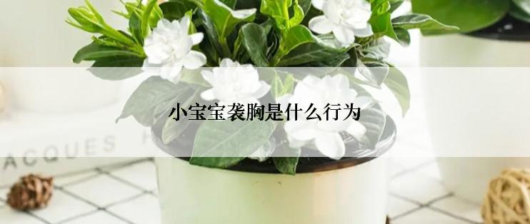 小宝宝袭胸是什么行为