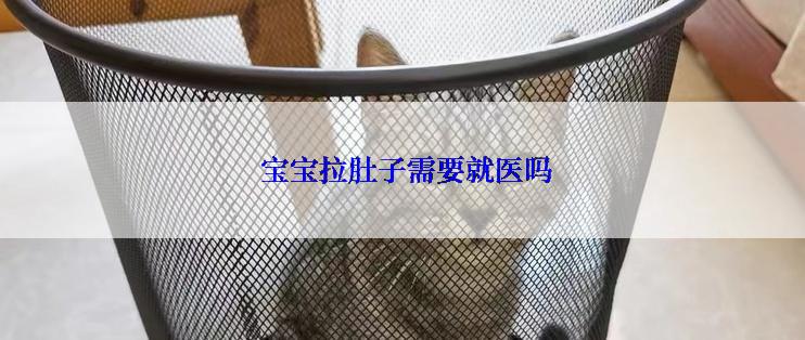  宝宝拉肚子需要就医吗