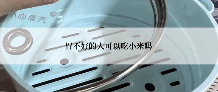 胃不好的人可以吃小米吗